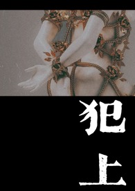 犯上之路小说书籍